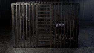 Клетка (фильм, 2016)