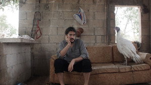 С глаз долой и разум вон (фильм, 2019)
