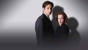 Секретные материалы (сериал, 1993)