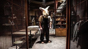 Девушка в лабиринте (фильм, 2019)