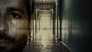 Директор (сериал, 2015)