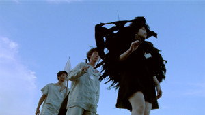 Пикник (фильм, 1996)