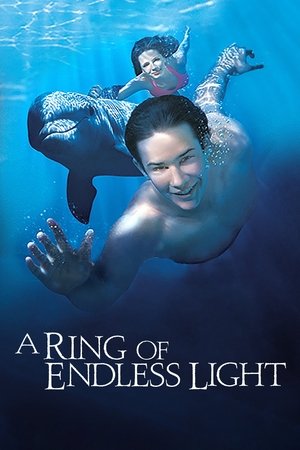 Кольцо бесконечного света (фильм, 2002)