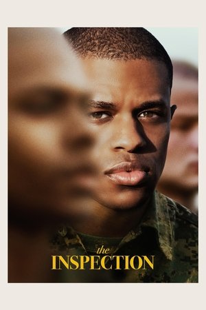 Проверка (фильм, 2022)