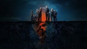 Мыслить как преступник (сериал, 2005)