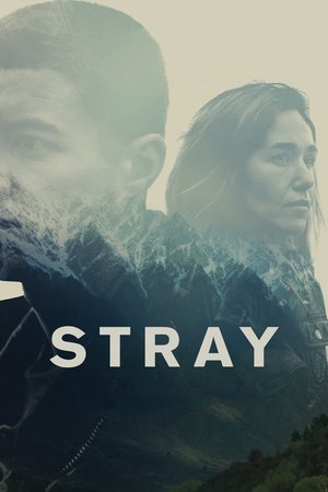 Заблудшие (фильм, 2018)