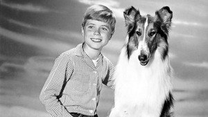 Лэсси (сериал, 1954)