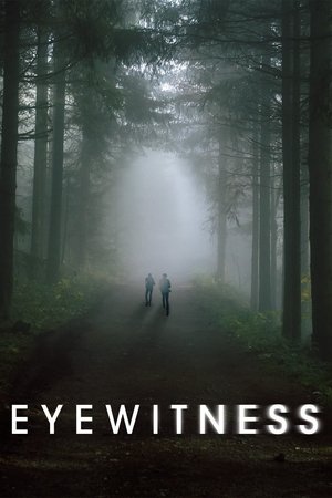 Свидетели (сериал, 2016)
