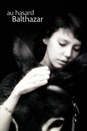 Наудачу, Бальтазар (фильм, 1966)