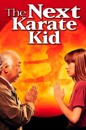 Парень каратист 4 (фильм, 1994)