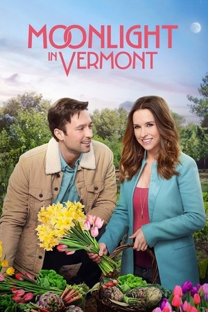 Лунный свет в Вермонте (фильм, 2017)
