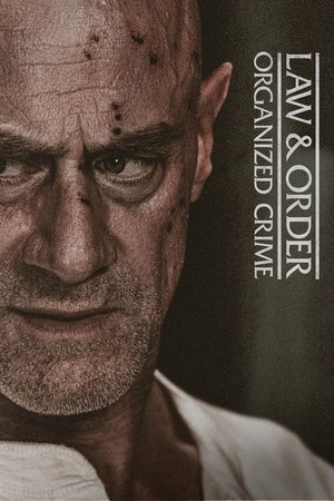 Закон и порядок: Организованная преступность (сериал, 2021)