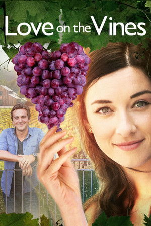 Любовь на винограднике (фильм, 2017)