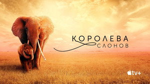 Королева слонов (фильм, 2019)