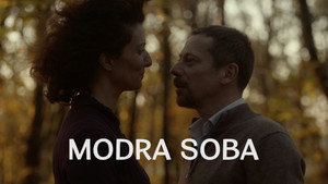Синяя комната (фильм, 2014)