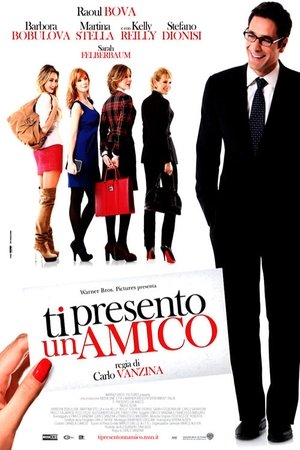 Я представляю тебе друга (фильм, 2010)