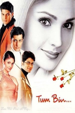 Без тебя (фильм, 2001)