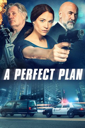Идеальный план (фильм, 2020)