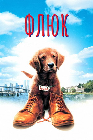Флюк (фильм, 1995)