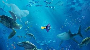 В поисках Дори (мультфильм, 2016)