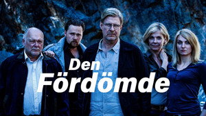 Себастьян Бергман (сериал, 2010)