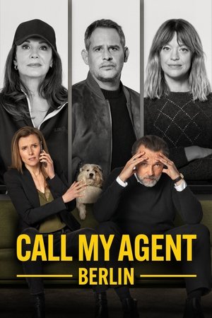 Позвоните моему агенту: Берлин (сериал, 2025)