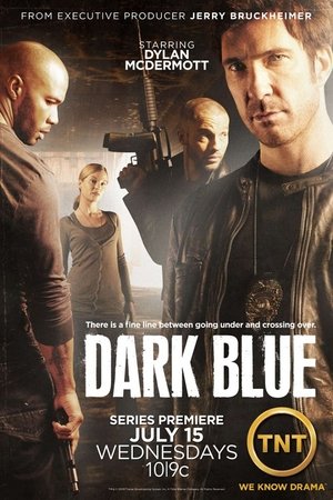 Под прикрытием (сериал, 2009)