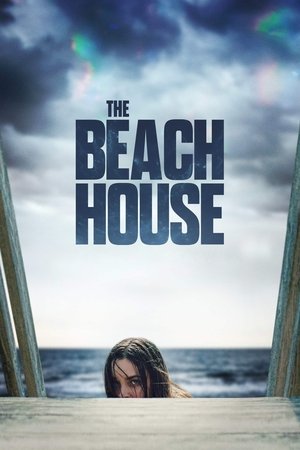 Пляжный домик (фильм, 2019)