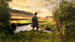 О сухой траве (фильм, 2023)
