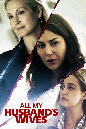 Все жёны моего мужа (фильм, 2019)
