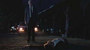Тихая ночь, смертельная ночь 3: Лучше поберегись! (фильм, 1989)