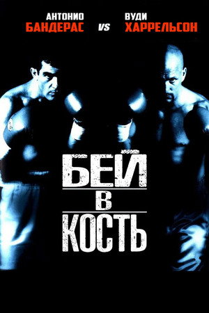 Бей в кость (фильм, 1999)
