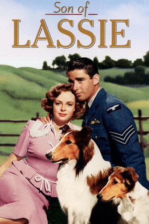 Сын Лесси (фильм, 1945)