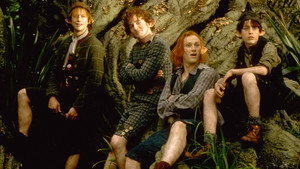 Страна фей (сериал, 1999)