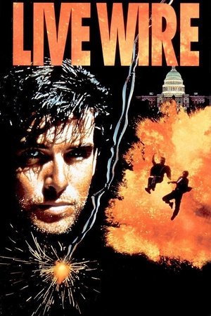 Провод под током (фильм, 1992)