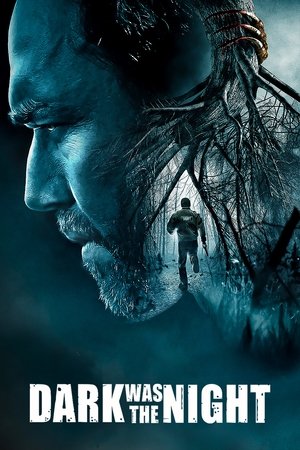 Ночь была темна (фильм, 2014)