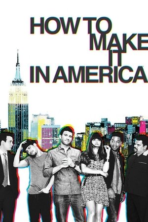Как это делается в Америке (сериал, 2010)