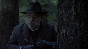 Тайна старого леса (фильм, 1993)