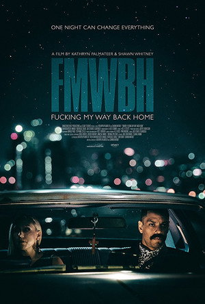 Трудный путь домой (фильм, 2018)