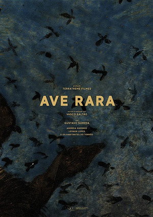 Редкая птица (фильм, 2019)