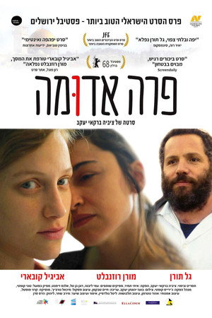 Красная корова (фильм, 2018)