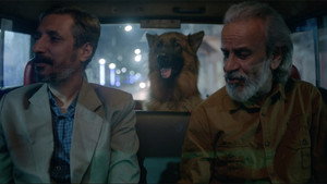 Однажды в Калькутте (фильм, 2021)