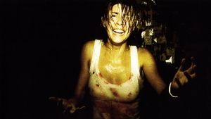 Репортаж (фильм, 2007)
