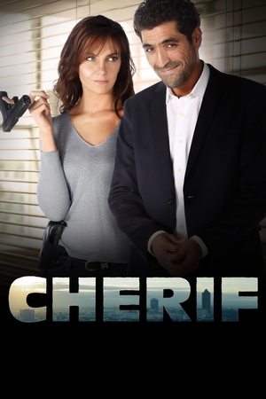Шериф (сериал, 2013)