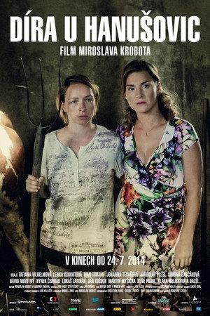 Дыра в Ханушовице (фильм, 2014)
