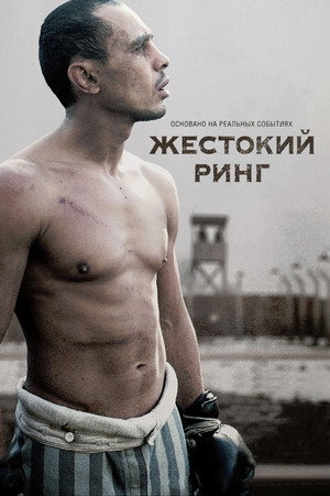 Жестокий ринг (фильм, 2013)