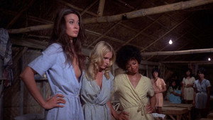 Большая клетка для птиц (фильм, 1972)