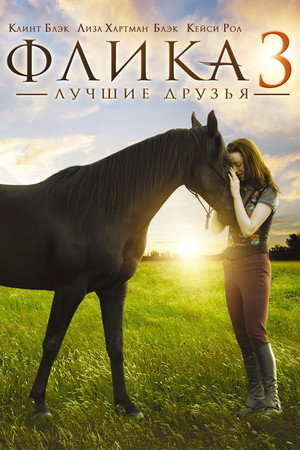 Флика 3 (фильм, 2012)
