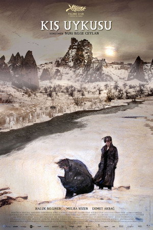 Зимняя спячка (фильм, 2014)