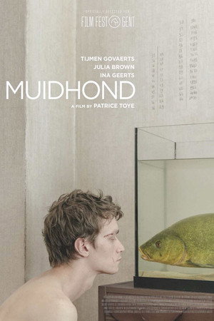 Линь (фильм, 2019)